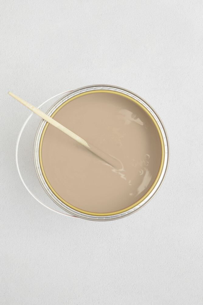 LES CAMELS CRÈME NOISETTE 1 LITRE MAT