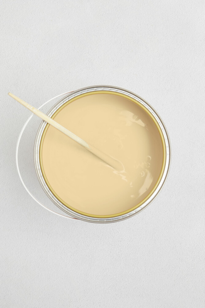 LES JAUNES SORBET CITRON 1 LITRE MAT