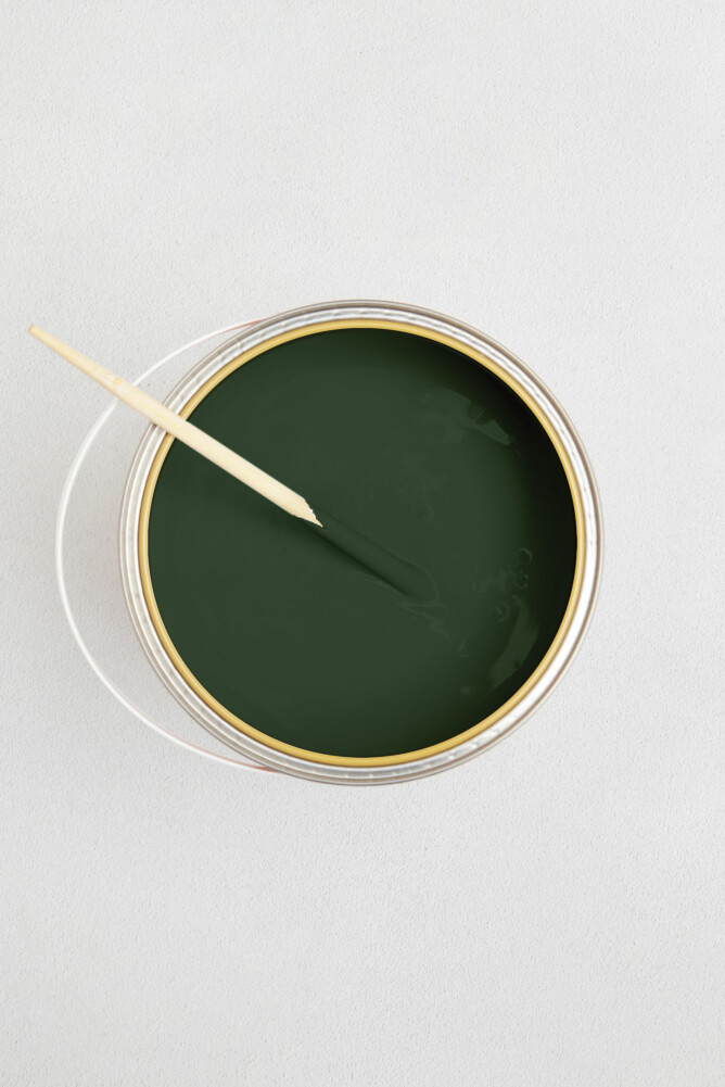 LES VERTS VERT BRIGITTE 1 LITRE MAT