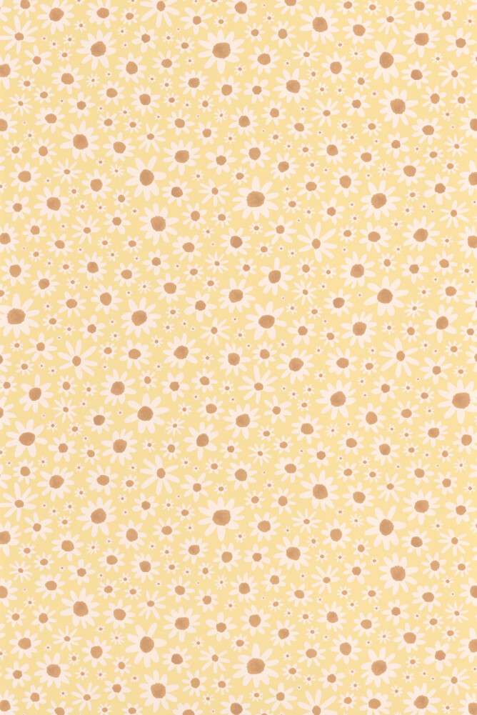 LUCETTE SORBET CITRON