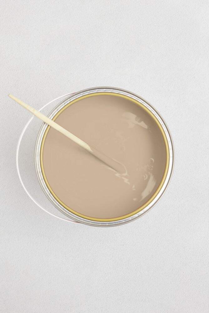 LES CAMELS CRÈME NOISETTE 1 LITRE MAT