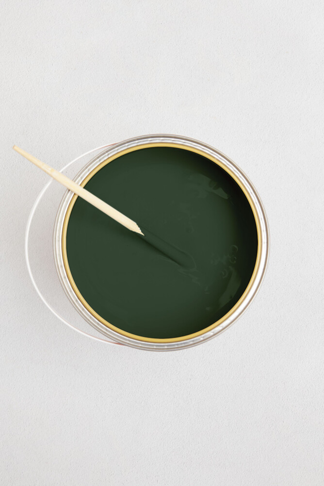 LES VERTS VERT BRIGITTE 1 LITRE MAT